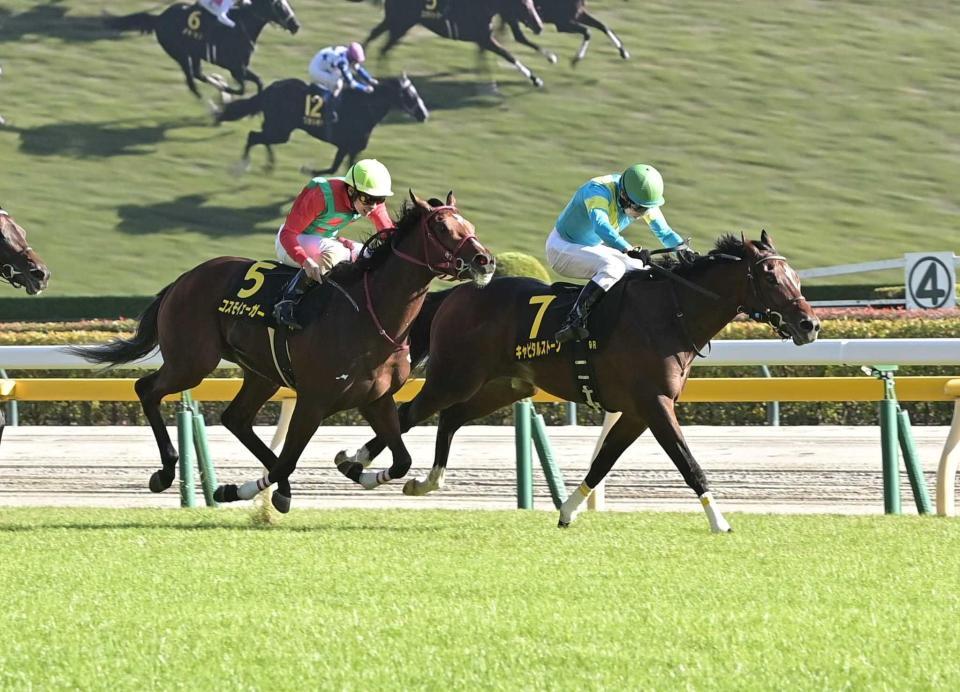 ９ＲアイビーＳを制したキャピタルストーン（右）＝撮影・持木克友