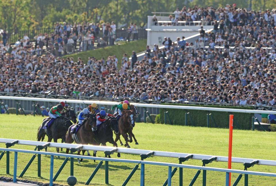 １１Ｒ、秋華賞を制したモンローウォーク（左から２頭目）＝撮影・中田匡峻