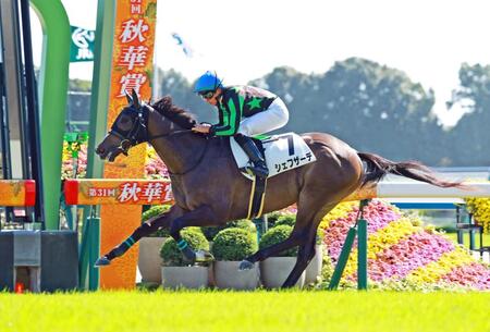 新馬戦を快勝したシェフザーデ（撮影・石湯恒介）