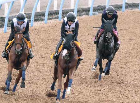 　鋭い動きを見せたプルヴィナル（右）＝撮影・園田高夫