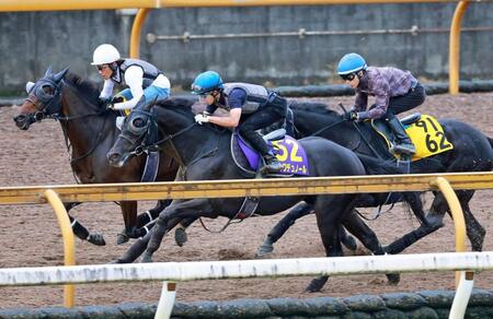 　抜群の手応えで先着したクロワデュノール（手前）＝撮影・石湯恒介