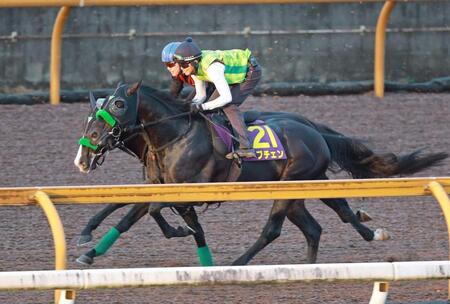 栗東ＣＷの併せ馬で万全の態勢を整えたロブチェン（撮影・石湯恒介）