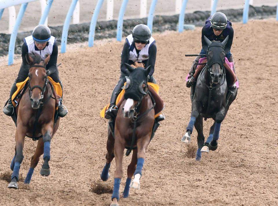　鋭い動きを見せたプルヴィナル（右）＝撮影・園田高夫