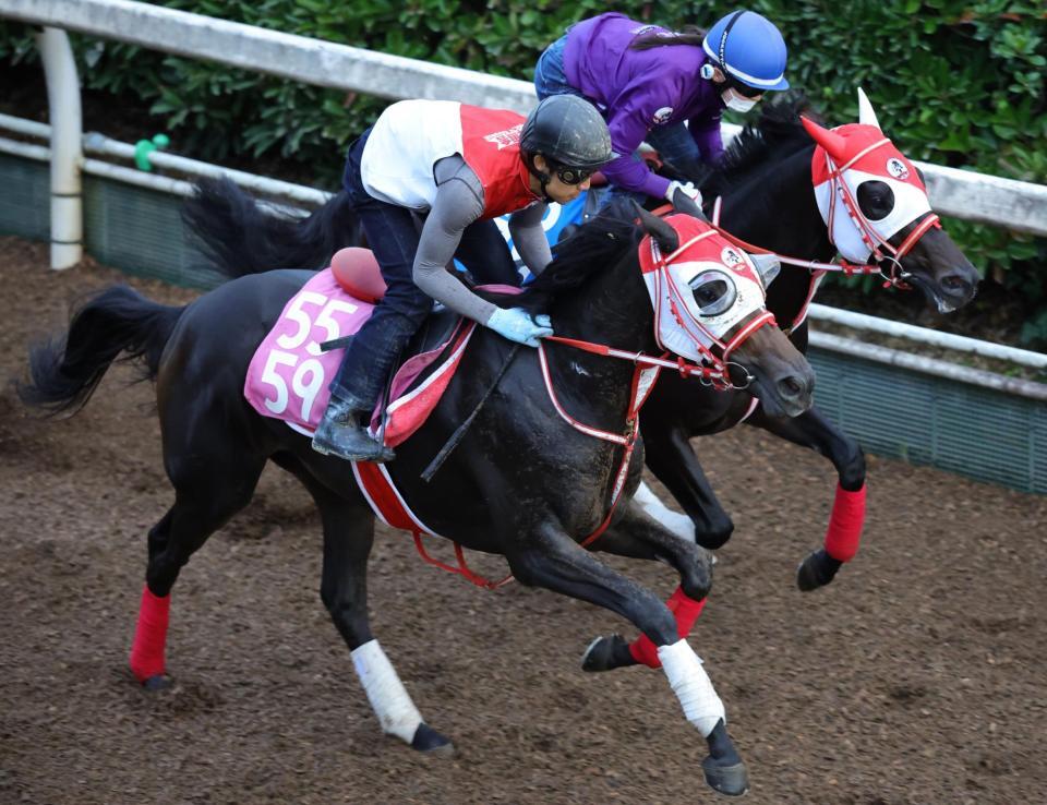 栗東坂路を駆け上がるリスグロワール（手前）＝撮影・坂部計介