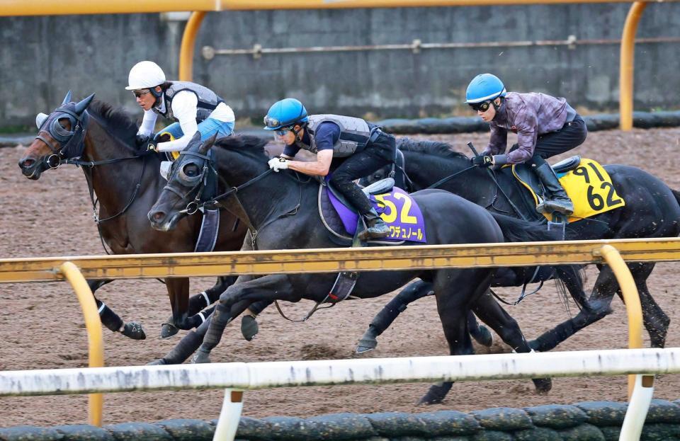 　抜群の手応えで先着したクロワデュノール（手前）＝撮影・石湯恒介