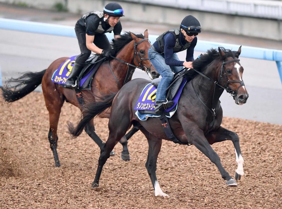 打倒２冠馬へ万全の態勢を整えたダノンヒストリー（右）＝撮影・園田高夫