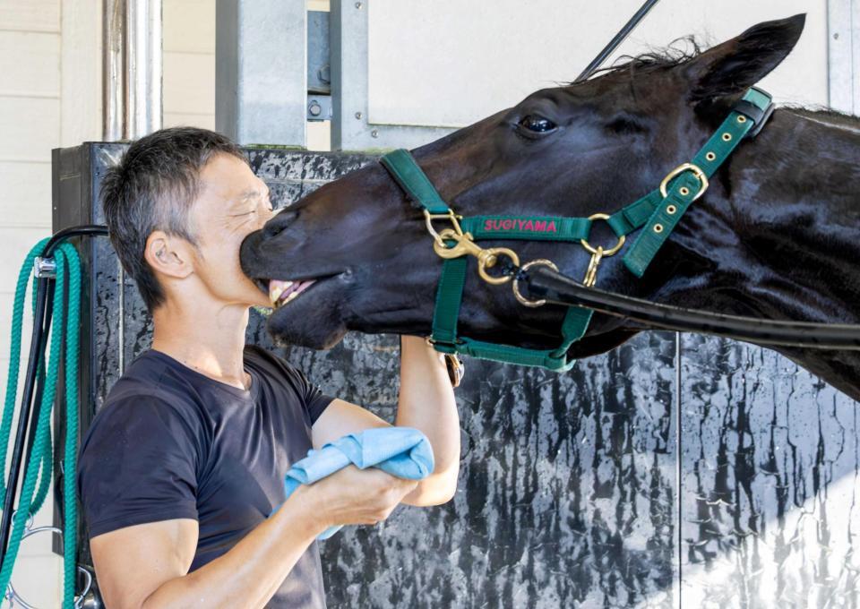 手入れをする房野助手にちょっかいをかけるロブチェン