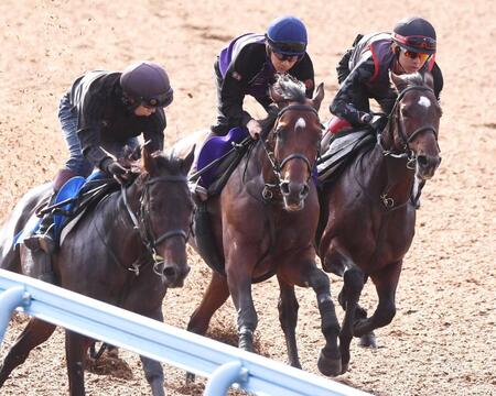 　３頭併せで追い切ったゴーイントゥスカイ（中央）＝撮影・園田高夫