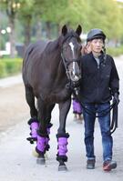エムズビギン