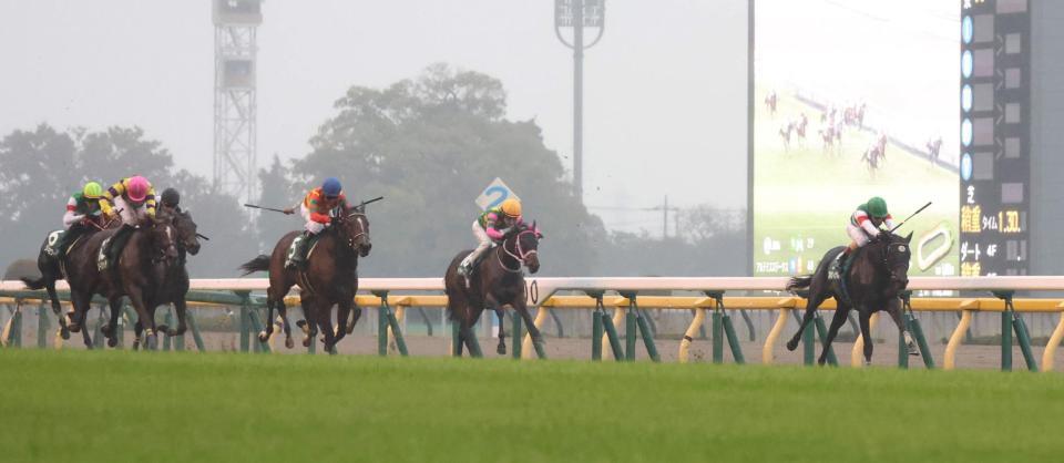早め先頭で押し切を狙うプルヴィナル（右端）。左端手前ローズサルーテ