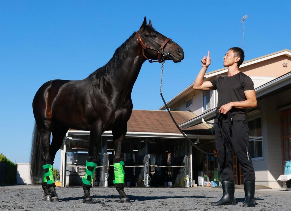 ロブチェンと房野助手
