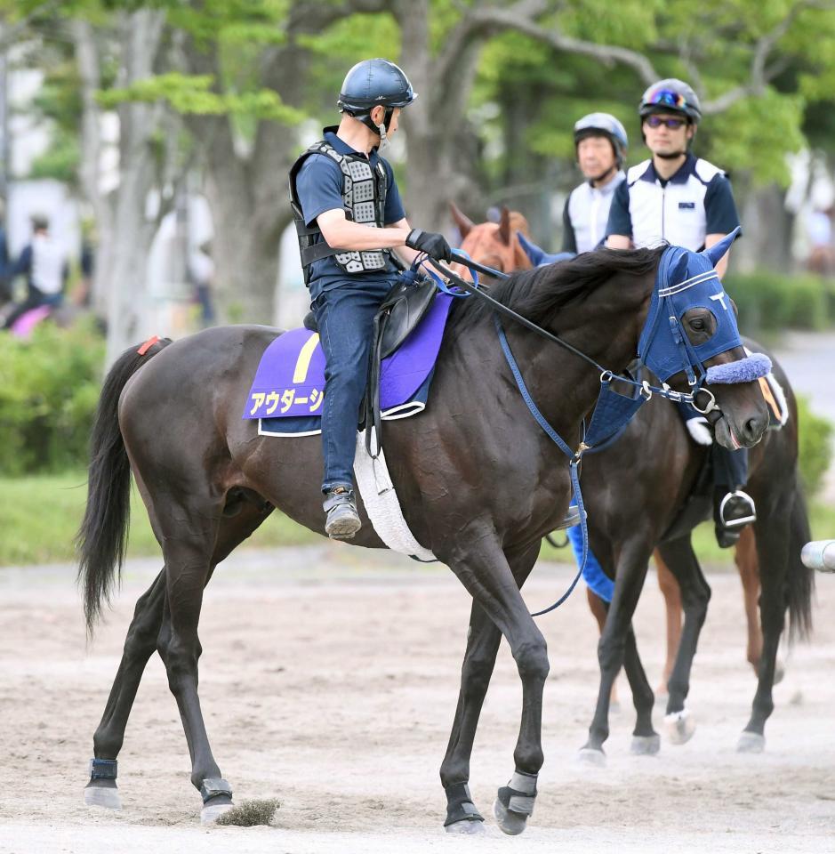 アウダーシア