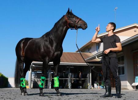 　担当馬ロブチェンとともに３冠の頂点を狙う房野助手