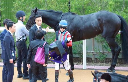 １４着に敗れたロブチェン（撮影・石湯恒介）