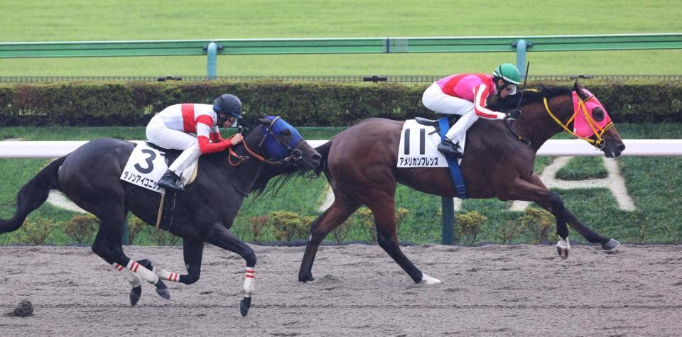 ダノンアイコニックを振り切るアメリカンフレンズ（右）