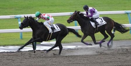 リワナグ（右）をかわし、２歳新馬戦を制したパッションシーザー（撮影・坂部計介）