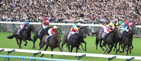 　１４着と馬群に沈んだロブチェン（左端）＝撮影・金居みつよし