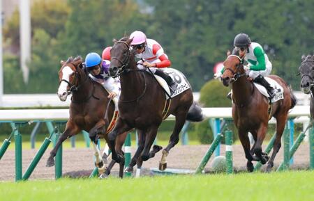 新馬戦を快勝したダノンカンタービレ（中央）＝撮影・石湯恒介