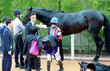 【菊花賞】ロブチェン　三冠馬の夢散る...まさかの大敗１４着　スタート誤算＆長距離が敗因　松山ガックリ「申し訳ない...」