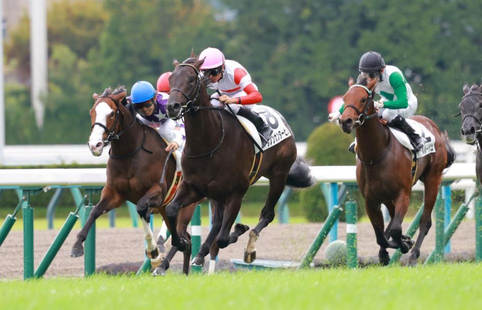 新馬戦を快勝したダノンカンタービレ（中央）＝撮影・石湯恒介