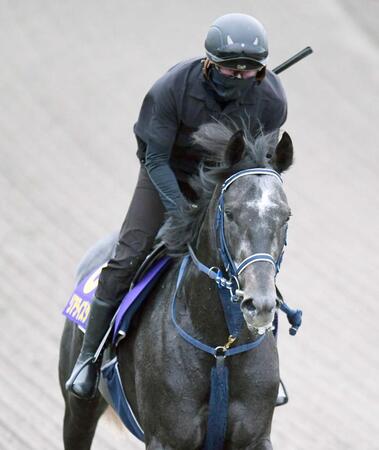 唯一の３歳馬として古馬に挑むリアライズシリウス