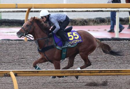 　栗東ＣＷで鋭い動きを披露したシェイクユアハート（撮影・中田匡峻）