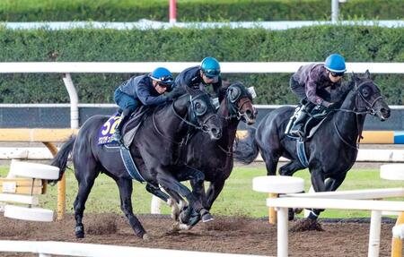 　文句なしの態勢を整えたクロワデュノール（左）＝撮影・石湯恒介