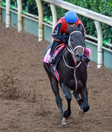　栗東坂路を軽快に駆け上がるブライトスクリプト（撮影・石湯恒介）