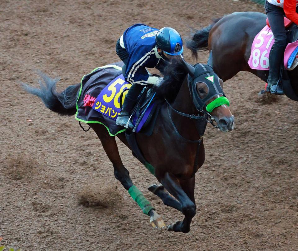 松山を背に栗東坂路で追い切るジョバンニ（撮影・石湯恒介）