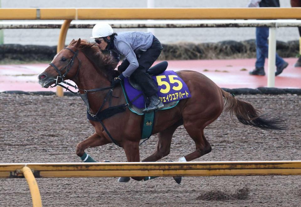 　栗東ＣＷで鋭い動きを披露したシェイクユアハート（撮影・中田匡峻）