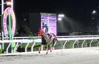 圧勝で重賞２勝目を挙げたエレインアスティ（撮影・中山伸治）