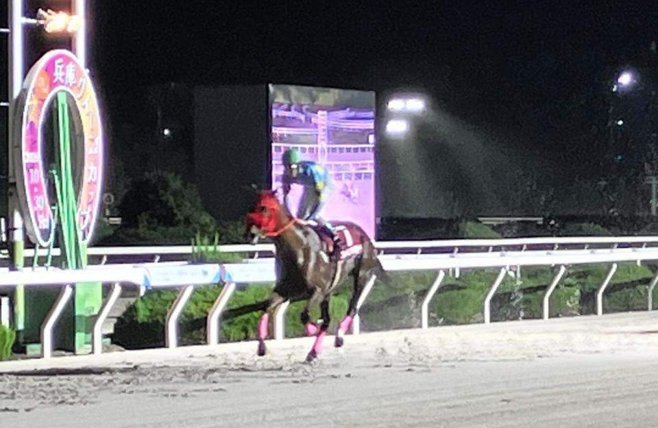 圧勝で重賞２勝目を挙げたエレインアスティ（撮影・中山伸治）
