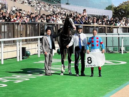 １０月３１日の東京５Ｒを勝ったイクイノックスの全妹エクアトーレ