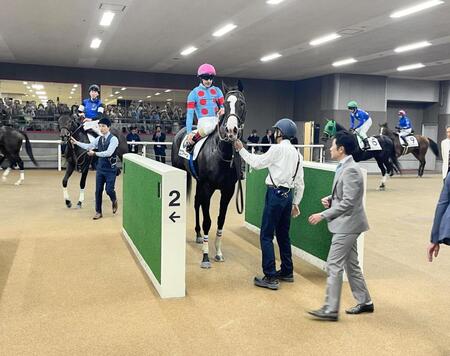 １０月３１日の東京５Ｒを勝ったイクイノックスの全妹エクアトーレ