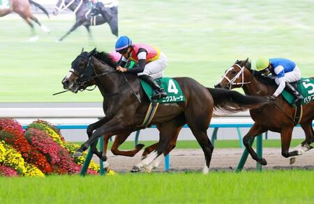 ファンタジーＳを制したニクスルーナ（撮影・石湯恒介）