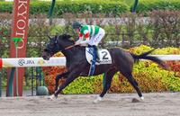勝利したスカイストラプス（撮影・石湯恒介）