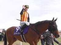 フェブラリーＳを制し、スタンドの声援に手を振って応えるコスタノヴァ騎乗のキング＝２５年２月２３日、東京競馬場