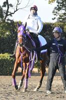 タマモカンパネラの追い切りを担当した谷原柚希＝美浦トレセン