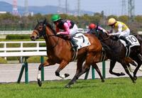ムイで今年２勝目を挙げた今村聖奈＝阪神競馬場