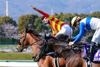 　大阪杯連覇を達成したベラジオオペラと横山和＝２５年４月６日、阪神