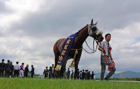 宝塚記念を制したメイショウタバル＝６月１５日、阪神