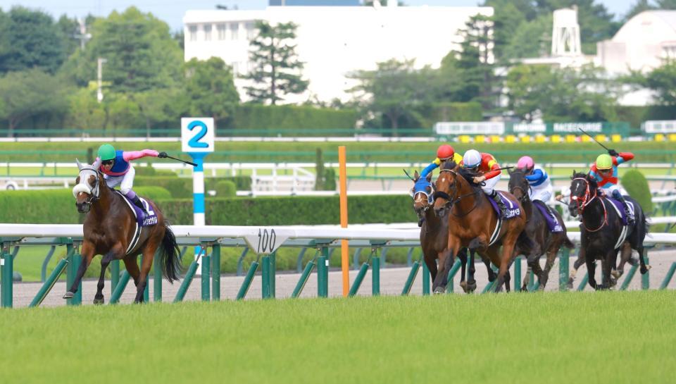 逃げ込みをはかるメイショウタバル（左端）＝６月１５日、阪神
