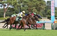 　関屋記念を制したキング騎乗のカナテープ（１４）＝７月２７日、新潟