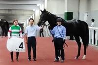 　グランカッサで新潟２Ｒを勝利した今村聖奈＝８月２３日