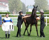 　札幌２Ｒを制したラスベガスサインと小林美駒（撮影・西岡正）