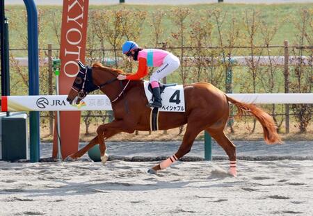 ペイシャプル＝京都競馬場（撮影・石湯恒介）