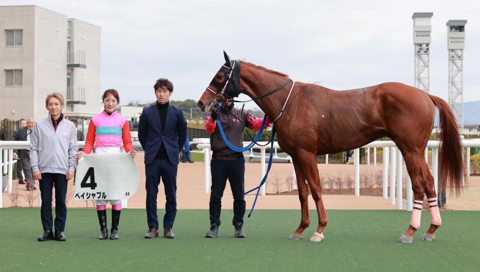 ペイシャプル＝京都競馬場（撮影・石湯恒介）