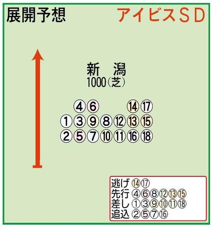 展開予想図