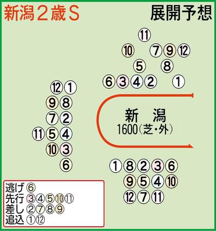 展開予想図