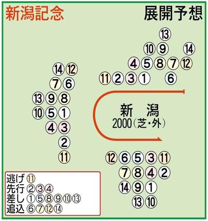 展開予想図